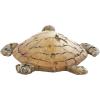 imageDeco 79 Polystone Turtle Decorative Sculpture Home Decor Statue Accent Figurine 11quot x 9quot x 3quot Brown