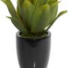 imageDeco 79 Faux Foliage Agave Artificial Plant with Realistic Leaves and Black Fiberglass Pot 17quot x 16quot x 22quot Green