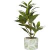 imageDeco 79 Faux Foliage Bay Laurel Artificial Plant with Leaf Patterned Pot 11quot x 11quot x 16quot Green