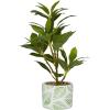 imageDeco 79 Faux Foliage Bay Laurel Artificial Plant with Leaf Patterned Pot 11quot x 11quot x 16quot Green