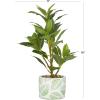 imageDeco 79 Faux Foliage Bay Laurel Artificial Plant with Leaf Patterned Pot 11quot x 11quot x 16quot Green