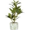 imageDeco 79 Faux Foliage Bay Laurel Artificial Plant with Leaf Patterned Pot 11quot x 11quot x 16quot Green