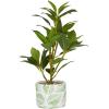 imageDeco 79 Faux Foliage Bay Laurel Artificial Plant with Leaf Patterned Pot 11quot x 11quot x 16quot Green