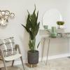 imageDeco 79 Faux Foliage Bird of Paradise Artificial Plant with Black Fluted Pot 21quot x 21quot x 61quot Green21 x 21 x 61