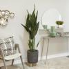 imageDeco 79 Faux Foliage Bird of Paradise Artificial Plant with Black Fluted Pot 21quot x 21quot x 61quot Green21 x 21 x 61