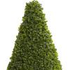 imageDeco 79 Faux Foliage Date Palm Artificial Plant with White Fiberglass Pot 20quot x 21quot x 42quot GreenBlack