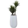 imageDeco 79 Faux Foliage Date Palm Artificial Plant with White Fiberglass Pot 20quot x 21quot x 42quot GreenGreen
