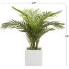 imageDeco 79 Faux Foliage Date Palm Artificial Plant with White Fiberglass Pot 20quot x 21quot x 42quot GreenGreen