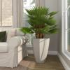 imageDeco 79 Faux Foliage Date Palm Artificial Plant with White Fiberglass Pot 20quot x 21quot x 42quot GreenGreen