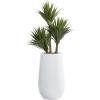 imageDeco 79 Faux Foliage Date Palm Artificial Plant with White Fiberglass Pot 20quot x 21quot x 42quot GreenGreen