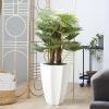imageDeco 79 Faux Foliage Date Palm Artificial Plant with White Fiberglass Pot 20quot x 21quot x 42quot GreenGreen