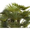 imageDeco 79 Faux Foliage Date Palm Artificial Plant with White Fiberglass Pot 20quot x 21quot x 42quot GreenGreen
