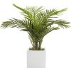 imageDeco 79 Faux Foliage Date Palm Artificial Plant with White Fiberglass Pot 20quot x 21quot x 42quot GreenGreen
