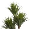imageDeco 79 Faux Foliage Date Palm Artificial Plant with White Fiberglass Pot 20quot x 21quot x 42quot GreenGreen
