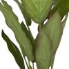 imageDeco 79 Faux Foliage Dieffenbachia Artificial Plant with Realistic Leaves and Rattan Pot 17quot x 13quot x 24quot Green