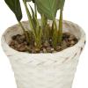 imageDeco 79 Faux Foliage Dieffenbachia Artificial Plant with Realistic Leaves and Rattan Pot 17quot x 13quot x 24quot Green