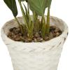 imageDeco 79 Faux Foliage Dieffenbachia Artificial Plant with Realistic Leaves and Rattan Pot 17quot x 13quot x 24quot Green