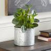 imageDeco 79 Faux Foliage Eucalyptus Artificial Plant Indoor Outdoor with Realistic Leaves and Black Round Pot 10quot x 7quot x 13quot Green