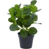 imageDeco 79 Faux Foliage Eucalyptus Artificial Plant Indoor Outdoor with Realistic Leaves and Black Round Pot 10quot x 7quot x 13quot Green