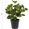 imageDeco 79 Faux Foliage Eucalyptus Artificial Plant Indoor Outdoor with Realistic Leaves and Black Round Pot 10quot x 7quot x 13quot Green
