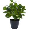 imageDeco 79 Faux Foliage Eucalyptus Artificial Plant Indoor Outdoor with Realistic Leaves and Black Round Pot 10quot x 7quot x 13quot Green
