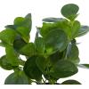 imageDeco 79 Faux Foliage Eucalyptus Artificial Plant Indoor Outdoor with Realistic Leaves and Black Round Pot 10quot x 7quot x 13quot Green