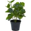 imageDeco 79 Faux Foliage Eucalyptus Artificial Plant Indoor Outdoor with Realistic Leaves and Black Round Pot 10quot x 7quot x 13quot Green