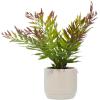 imageDeco 79 Faux Foliage Fern Artificial Plant with Realistic Leaves and Beige Ceramic Pot 11quot x 12quot x 13quot Green