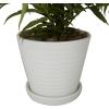 imageDeco 79 Faux Foliage Fern Artificial Plant with Realistic Leaves and Fluted Porcelain Pot 19quot x 23quot x 14quot Green