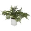 imageDeco 79 Faux Foliage Fern Artificial Plant with Realistic Leaves and Fluted Porcelain Pot 19quot x 23quot x 14quot Green