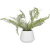 imageDeco 79 Faux Foliage Fern Artificial Plant with Realistic Leaves and White Ceramic Pot 19quot x 12quot x 14quot Green