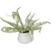 imageDeco 79 Faux Foliage Fern Artificial Plant with Realistic Leaves and White Ceramic Pot 19quot x 12quot x 14quot Green