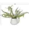 imageDeco 79 Faux Foliage Fern Artificial Plant with Realistic Leaves and White Ceramic Pot 19quot x 12quot x 14quot Green