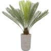 imageDeco 79 Faux Foliage Sago Palm Artificial Plant with Realistic Leaves and Beige Ceramic Pot 38quot x 28quot x 45quot Green