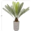 imageDeco 79 Faux Foliage Sago Palm Artificial Plant with Realistic Leaves and Beige Ceramic Pot 38quot x 28quot x 45quot Green