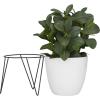 imageThe Novogratz Faux Foliage Eucalyptus Artificial Plant with Realistic Leaves and Metal Stand and White Pot 12quot x 12quot x 17quot Green
