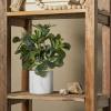 imageThe Novogratz Faux Foliage Eucalyptus Artificial Plant with Realistic Leaves and White Marble Pot 11quot x 9quot x 14quot Green