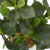 imageThe Novogratz Faux Foliage Eucalyptus Artificial Plant with Realistic Leaves and White Marble Pot 11quot x 9quot x 14quot Green