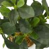 imageThe Novogratz Faux Foliage Eucalyptus Artificial Plant with Realistic Leaves and White Marble Pot 11quot x 9quot x 14quot Green