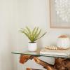 imageThe Novogratz Faux Foliage Fern Artificial Plant with Realistic Leaves and White Ceramic Pot 15quot x 10quot x 12quot Green