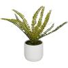 imageThe Novogratz Faux Foliage Fern Artificial Plant with Realistic Leaves and White Ceramic Pot 15quot x 10quot x 12quot Green