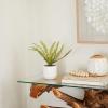 imageThe Novogratz Faux Foliage Fern Artificial Plant with Realistic Leaves and White Ceramic Pot 15quot x 10quot x 12quot Green