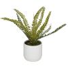 imageThe Novogratz Faux Foliage Fern Artificial Plant with Realistic Leaves and White Ceramic Pot 15quot x 10quot x 12quot Green