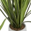 imageThe Novogratz Faux Foliage Grass Tall Artificial Plant with Realistic Leaves and Porcelain Pot on Wooden Stand 20quot x 8quot x 35quot GreenGreen