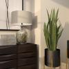 imageThe Novogratz Faux Foliage Snake Artificial Plant with Realistic Leaves and Black Porcelain Pot 14quot x 14quot x 36quot Green