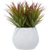imageThe Novogratz Faux Foliage Striped Stemmed Aloe Artificial Plant with White Ceramic Pot 9 inch x 9 inch x 9 inch Green