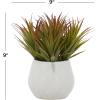 imageThe Novogratz Faux Foliage Striped Stemmed Aloe Artificial Plant with White Ceramic Pot 9 inch x 9 inch x 9 inch Green