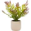 imageDeco 79 Faux Foliage Fern Artificial Plant with Realistic Leaves and Beige Ceramic Pot 11quot x 12quot x 13quot Green
