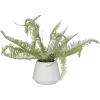 imageDeco 79 Faux Foliage Fern Artificial Plant with Realistic Leaves and White Ceramic Pot 19quot x 12quot x 14quot Green