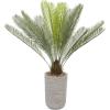 imageDeco 79 Faux Foliage Sago Palm Artificial Plant with Realistic Leaves and Beige Ceramic Pot 38quot x 28quot x 45quot Green